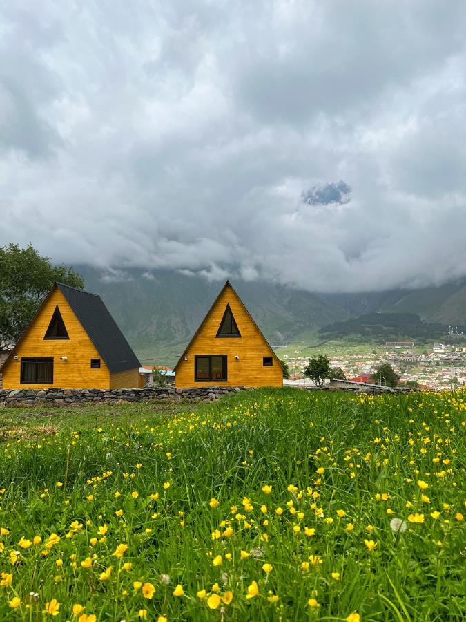 Pine Chalet Kazbegi Exterior photo