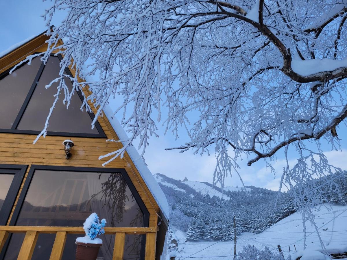 Pine Chalet Kazbegi Exterior photo