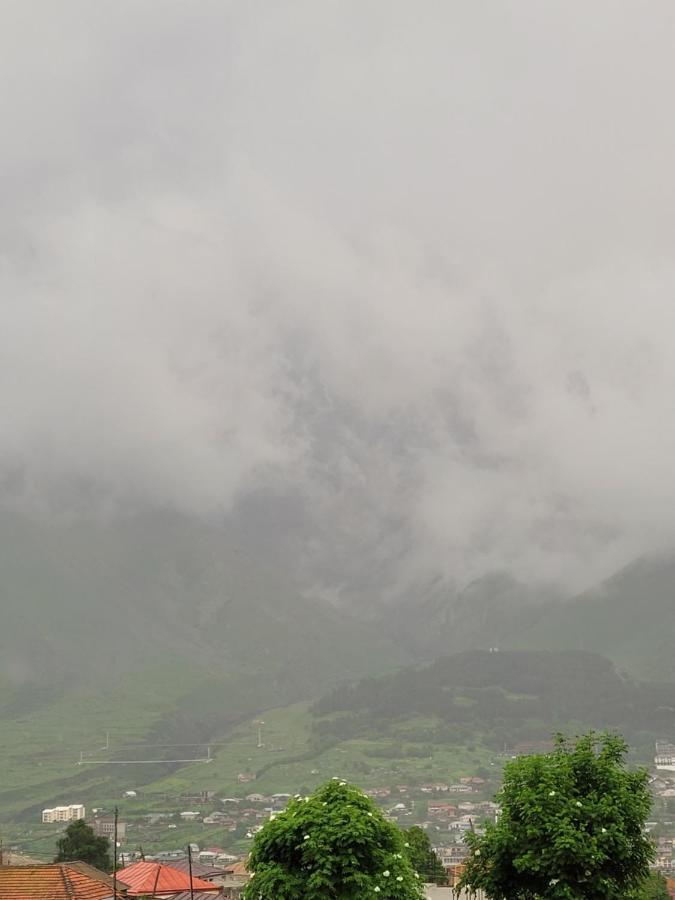 Pine Chalet Kazbegi Exterior photo